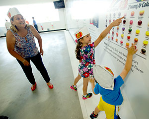 Jelly Belly Factory Tour Flavor Wall